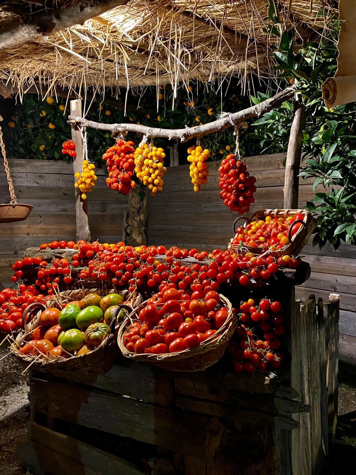 Marktstand mit roten Tomaten und hängenden Tomatenbündeln, Frau im Hintergrund